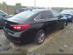 2017 Hyundai Sonata Se Black vin: 5NPE24AF1HH436977