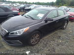 2017 Hyundai Sonata Se Black vin: 5NPE24AF1HH436977