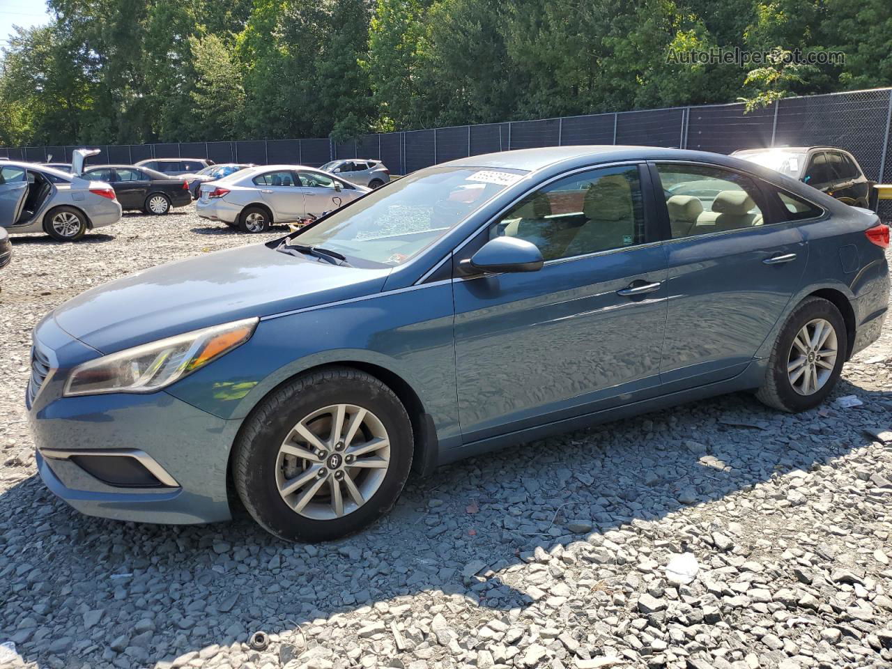 2017 Hyundai Sonata Se Синий vin: 5NPE24AF1HH482700