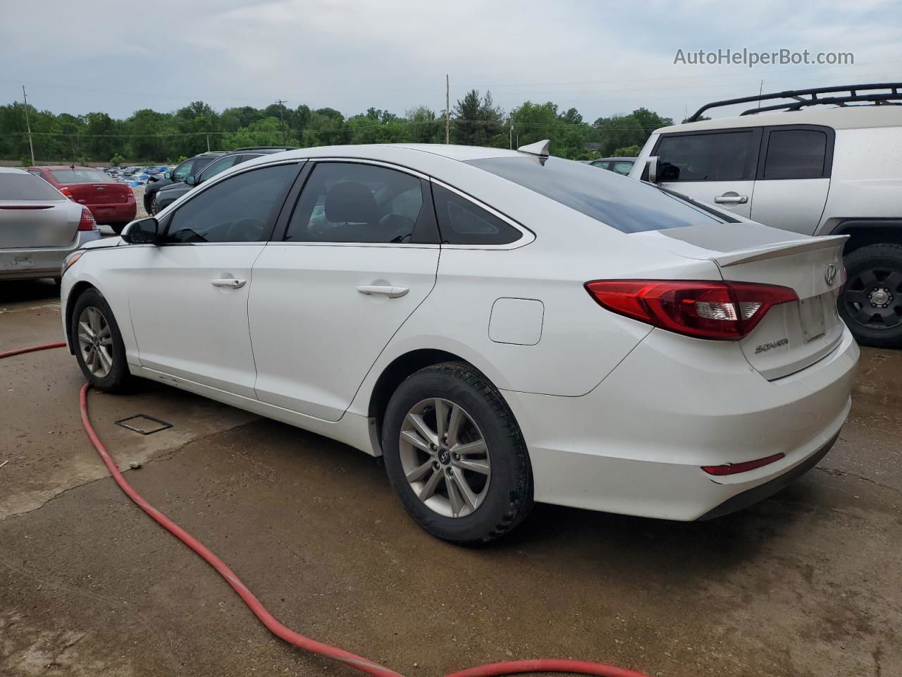 2017 Hyundai Sonata Se White vin: 5NPE24AF1HH501603