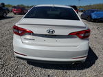 2017 Hyundai Sonata Se White vin: 5NPE24AF1HH516716