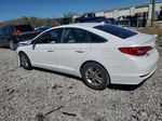 2017 Hyundai Sonata Se White vin: 5NPE24AF1HH516716