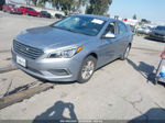 2017 Hyundai Sonata   Silver vin: 5NPE24AF1HH518580