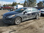 2017 Hyundai Sonata Se Black vin: 5NPE24AF1HH527666