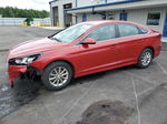 2018 Hyundai Sonata Se Red vin: 5NPE24AF1JH720535