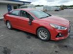 2018 Hyundai Sonata Se Red vin: 5NPE24AF1JH720535