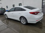 2017 Hyundai Sonata Se Белый vin: 5NPE24AF2HH581896