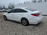 2017 Hyundai Sonata Se Белый vin: 5NPE24AF4HH527886