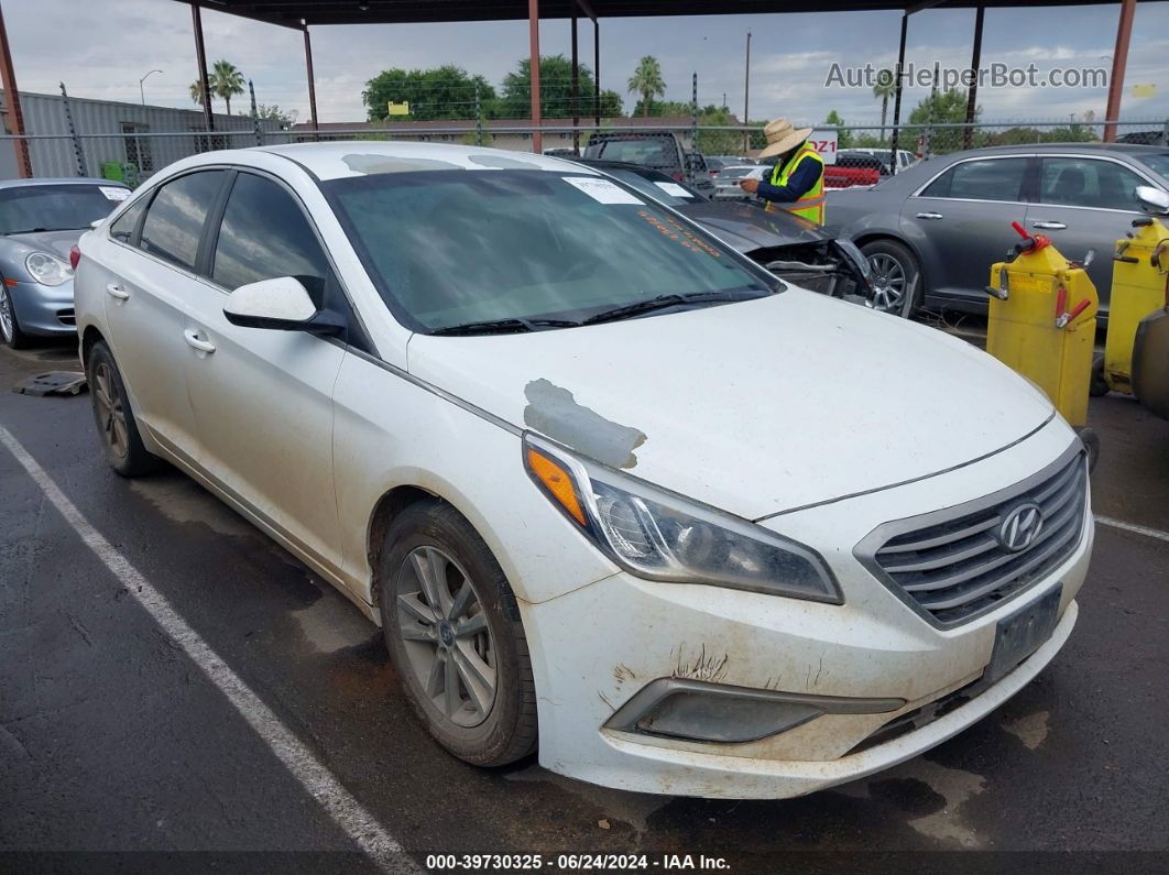 2017 Hyundai Sonata   White vin: 5NPE24AF4HH577719