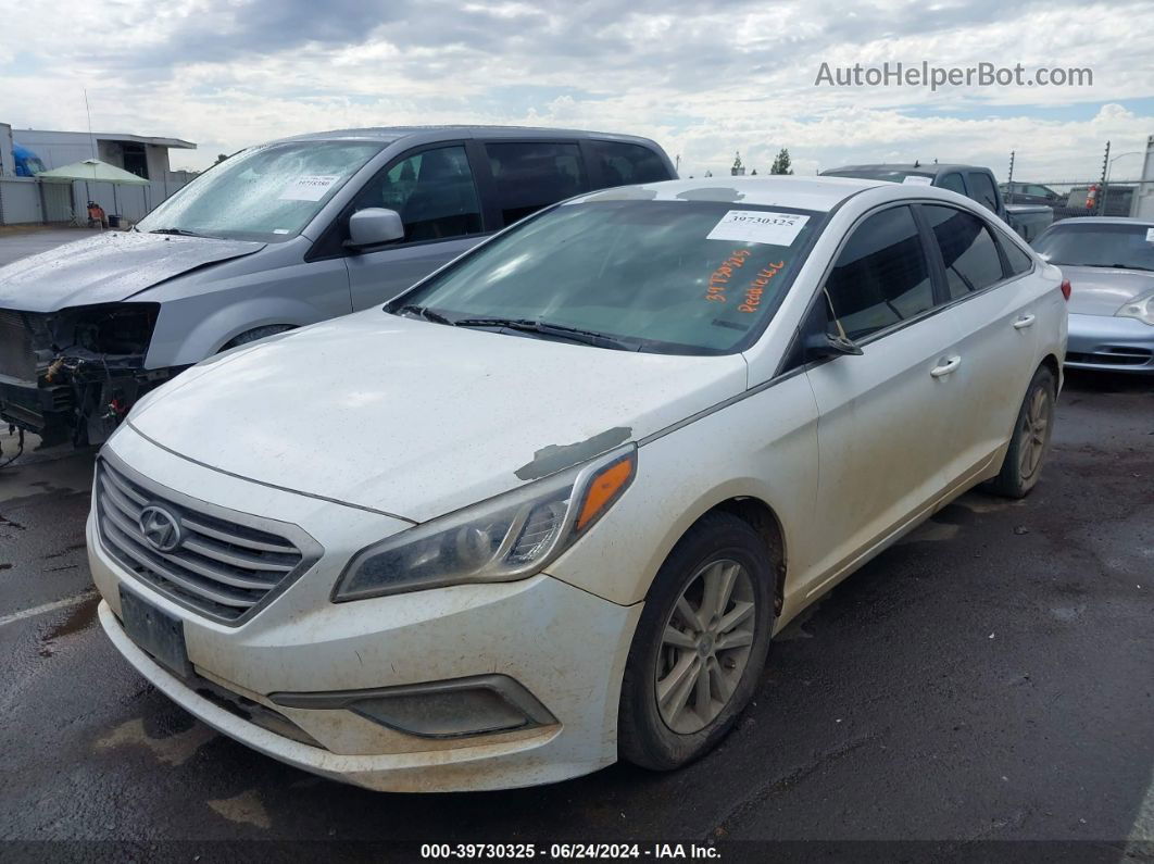 2017 Hyundai Sonata   White vin: 5NPE24AF4HH577719