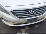 2017 Hyundai Sonata   White vin: 5NPE24AF4HH577719