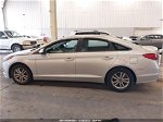 2017 Hyundai Sonata   Silver vin: 5NPE24AF5HH532837