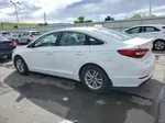 2017 Hyundai Sonata Se Белый vin: 5NPE24AF5HH575686