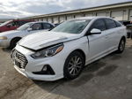 2018 Hyundai Sonata Se Белый vin: 5NPE24AF5JH611558