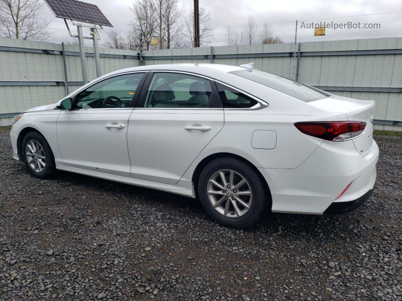 2018 Hyundai Sonata Se White vin: 5NPE24AF5JH667290