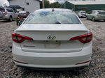 2015 Hyundai Sonata Se Белый vin: 5NPE24AF6FH087571