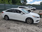 2015 Hyundai Sonata Se White vin: 5NPE24AF6FH087571