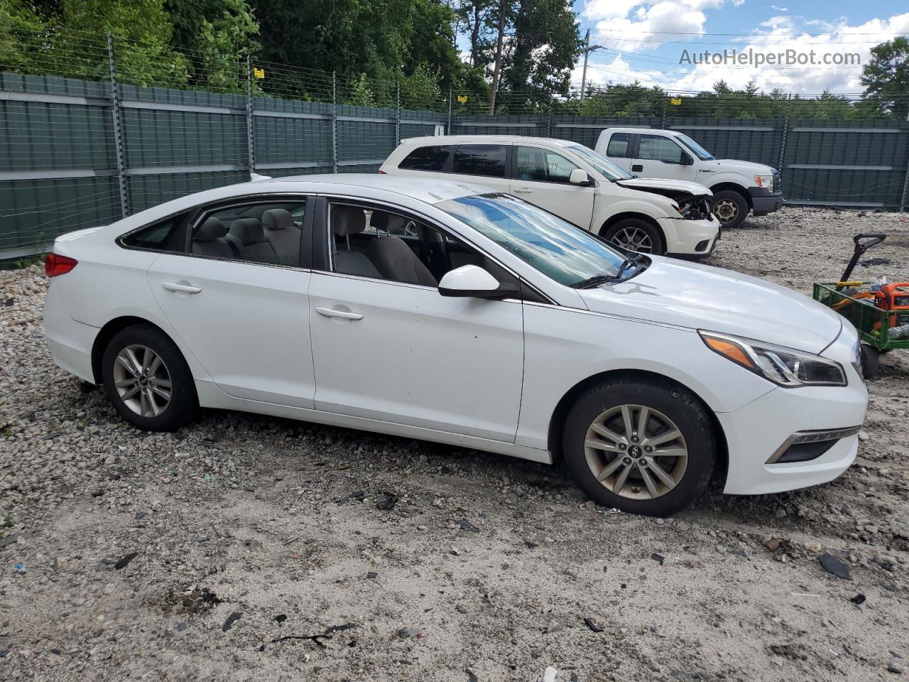 2015 Hyundai Sonata Se Белый vin: 5NPE24AF6FH087571