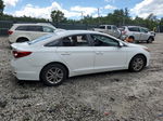 2015 Hyundai Sonata Se Белый vin: 5NPE24AF6FH087571