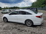 2015 Hyundai Sonata Se White vin: 5NPE24AF6FH087571