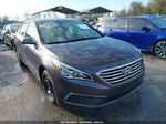 2017 Hyundai Sonata Se Brown vin: 5NPE24AF6HH443035