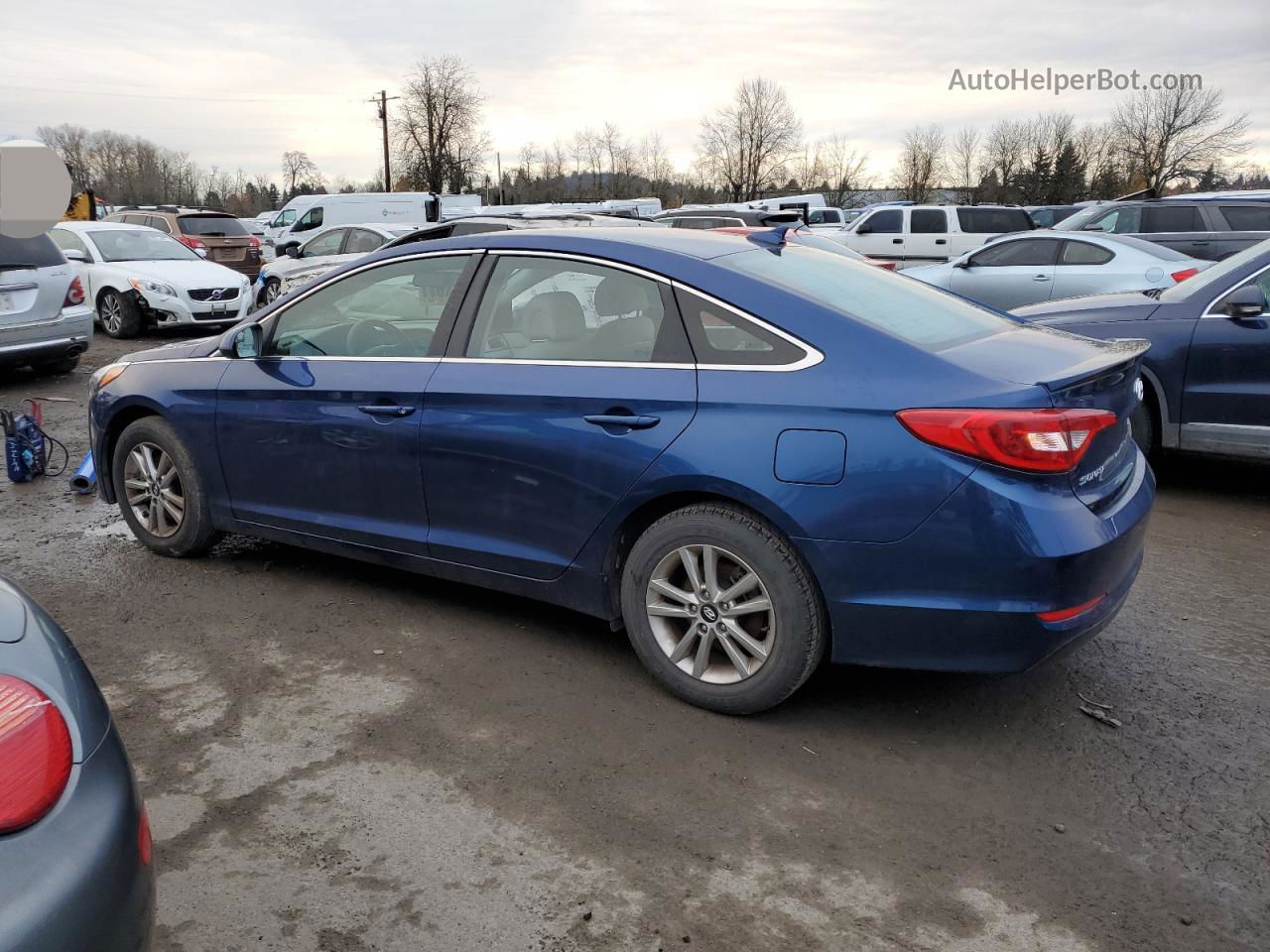 2017 Hyundai Sonata Se Синий vin: 5NPE24AF6HH504710