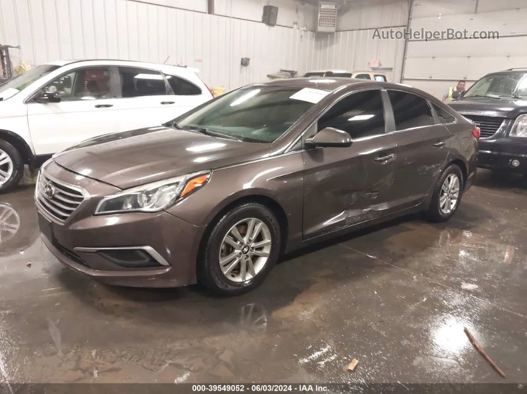 2017 Hyundai Sonata   Gray vin: 5NPE24AF6HH530207