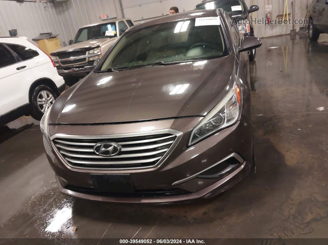 2017 Hyundai Sonata   Gray vin: 5NPE24AF6HH530207