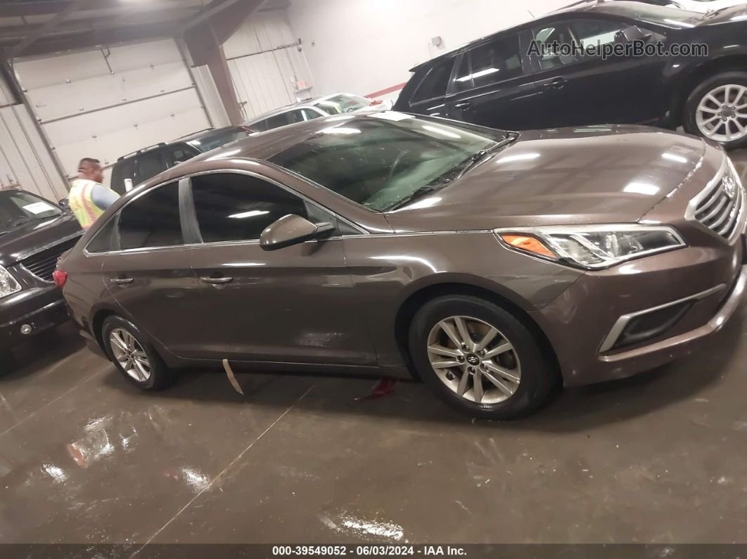 2017 Hyundai Sonata   Серый vin: 5NPE24AF6HH530207