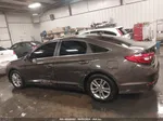 2017 Hyundai Sonata   Серый vin: 5NPE24AF6HH530207