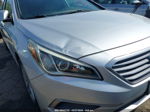 2017 Hyundai Sonata   Gray vin: 5NPE24AF6HH534399