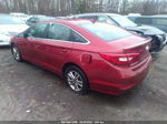 2015 Hyundai Sonata Se Red vin: 5NPE24AF7FH108315