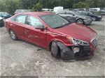 2017 Hyundai Sonata Se Red vin: 5NPE24AF7HH556265