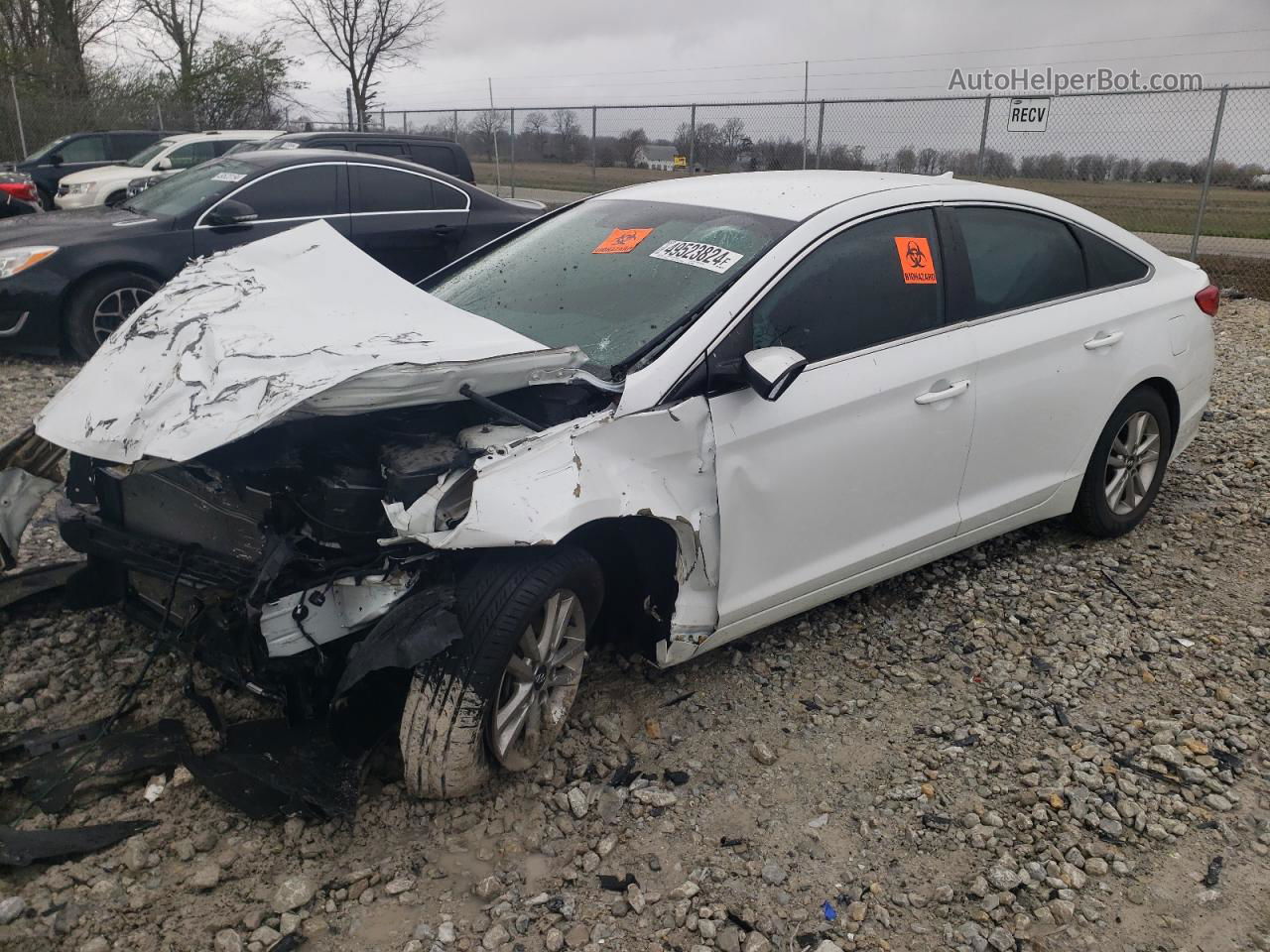 2017 Hyundai Sonata Se White vin: 5NPE24AF7HH566939