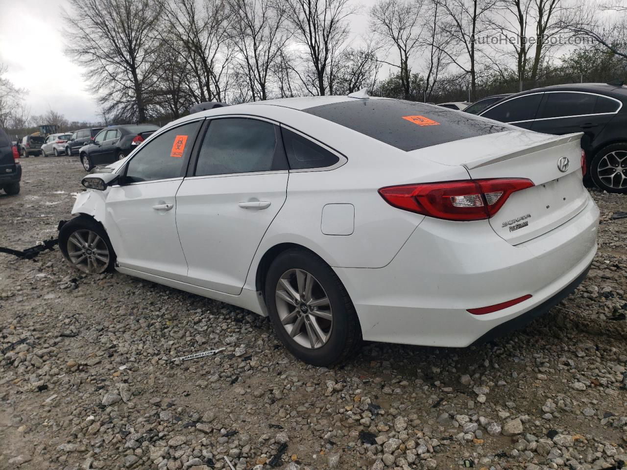 2017 Hyundai Sonata Se Белый vin: 5NPE24AF7HH566939