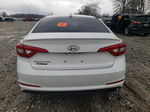 2017 Hyundai Sonata Se White vin: 5NPE24AF7HH566939