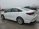 2018 Hyundai Sonata Se White vin: 5NPE24AF7JH708373