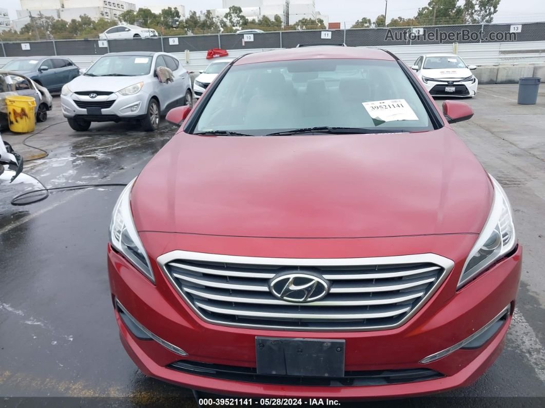 2015 Hyundai Sonata Se Burgundy vin: 5NPE24AF8FH053793