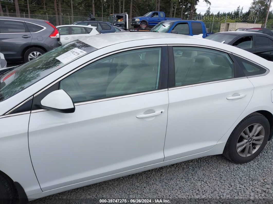 2015 Hyundai Sonata Se White vin: 5NPE24AF8FH148113