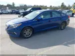 2017 Hyundai Sonata   Синий vin: 5NPE24AF8HH496027