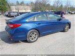 2017 Hyundai Sonata   Синий vin: 5NPE24AF8HH496027