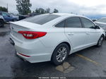 2017 Hyundai Sonata   Белый vin: 5NPE24AF8HH530855