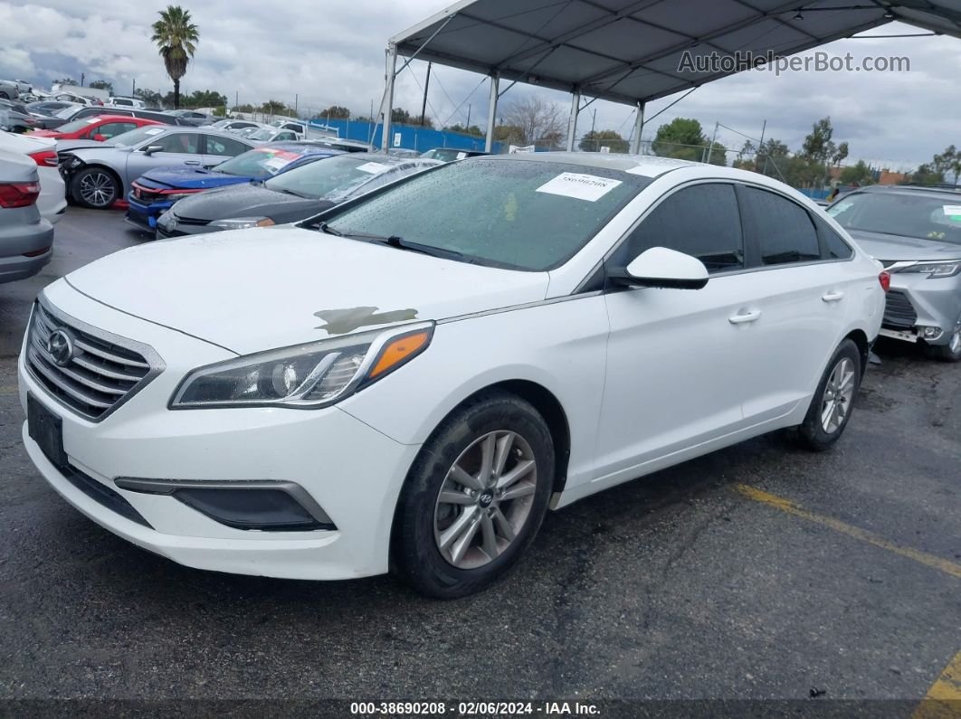 2017 Hyundai Sonata   White vin: 5NPE24AF8HH530855