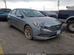 2017 Hyundai Sonata   Gray vin: 5NPE24AF8HH575567