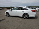 2017 Hyundai Sonata Se White vin: 5NPE24AF9HH440226