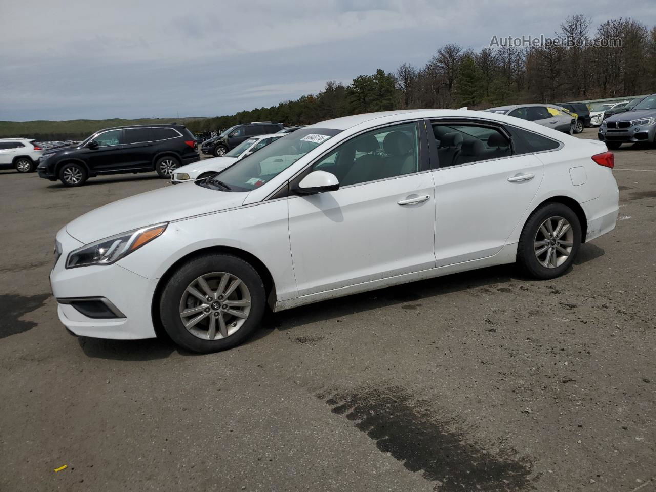 2017 Hyundai Sonata Se White vin: 5NPE24AF9HH440226