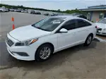 2017 Hyundai Sonata Se White vin: 5NPE24AF9HH526314