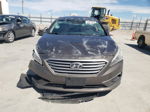 2017 Hyundai Sonata Se Gray vin: 5NPE24AF9HH534770