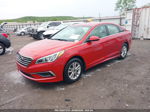 2017 Hyundai Sonata Se Red vin: 5NPE24AF9HH555392