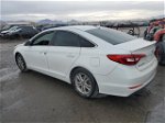 2017 Hyundai Sonata Se White vin: 5NPE24AFXHH502460